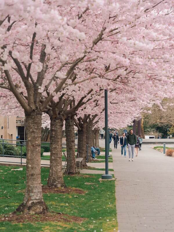 Study Overseas Study Abroad Consultants